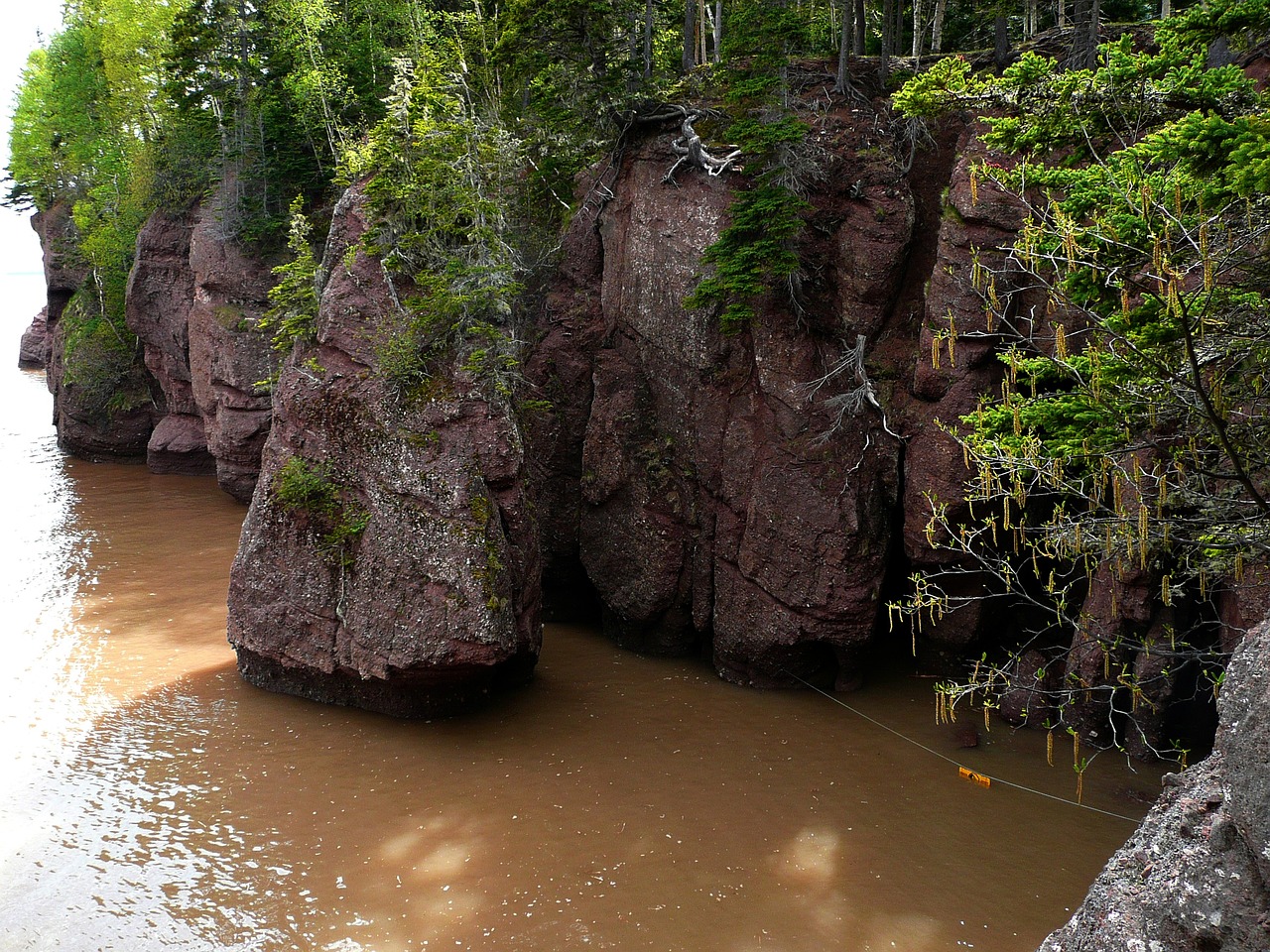 hopewell rocks, bay of fundy, new brunswick-54992.jpg